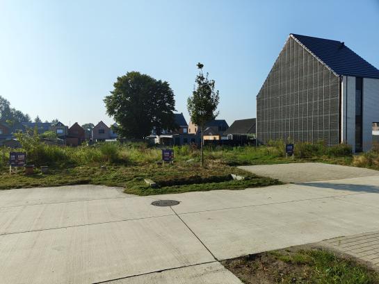 Kavel Balen Savelberg_3